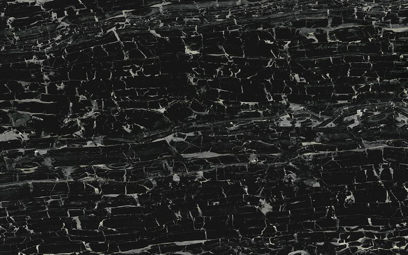 珍貴-波特黑