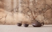 巨石-豔陽紅